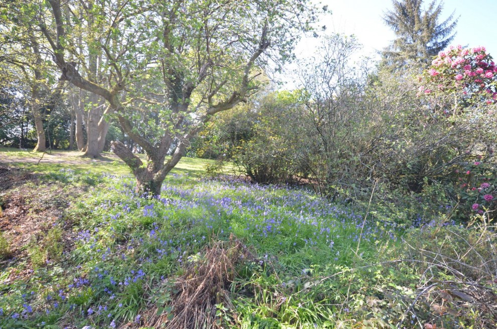 Farnham Road, Churt, GU10