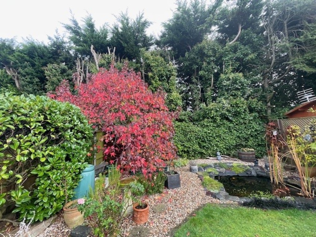 Doddinghurst, Brentwood