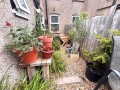 Image for Chadwell Heath