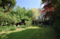 Image for Chadwell Heath, Romford