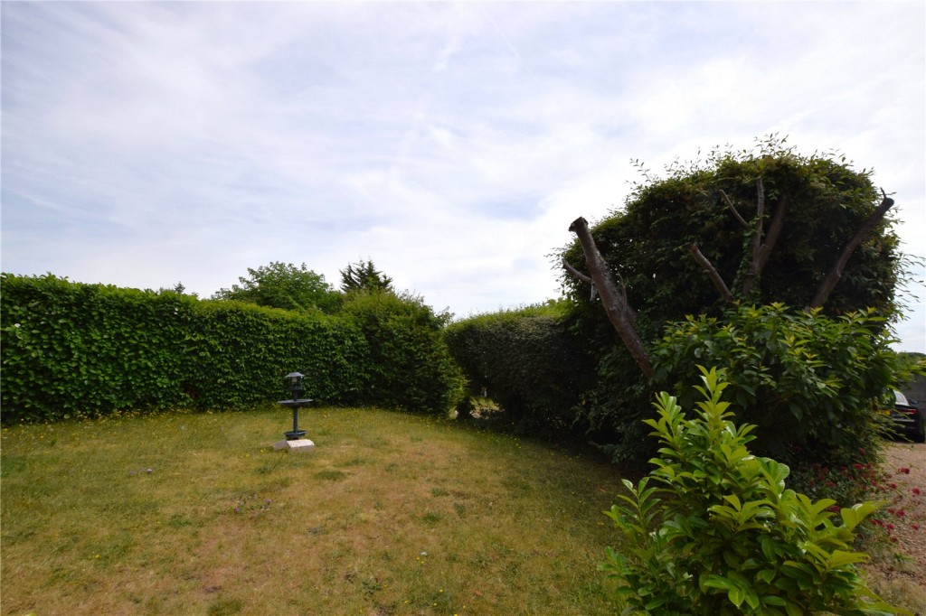 Image for Ilford