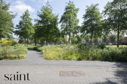 Ledger Walk, Carrington, Nottingham