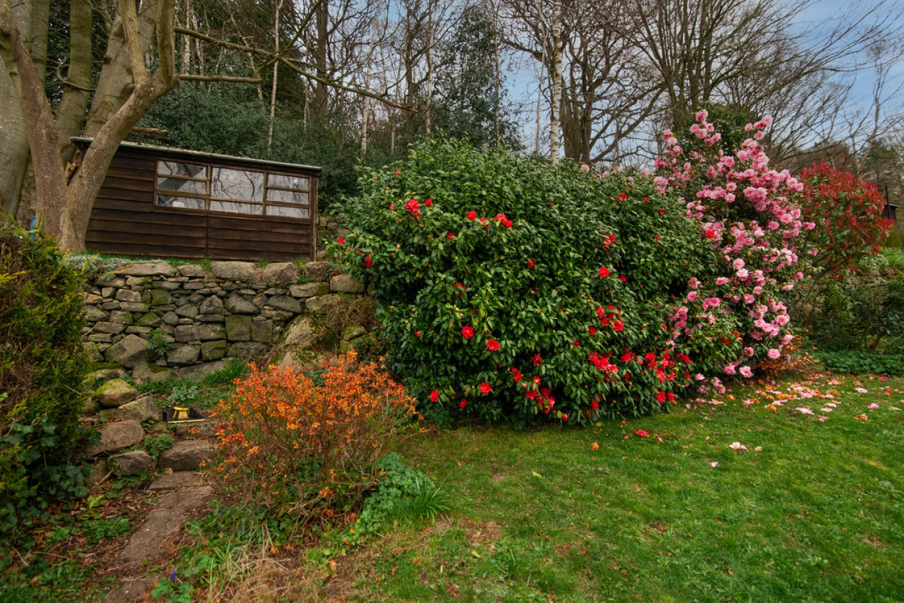 Rose Dene The Hollows, Matlock,