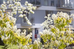 Opus House, Charrington Place, St. Albans, Hertfordshire