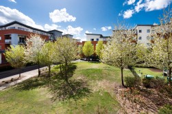 Opus House, Charrington Place, St. Albans, Hertfordshire