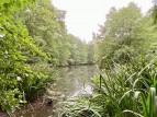 Great Chatwell, Newport