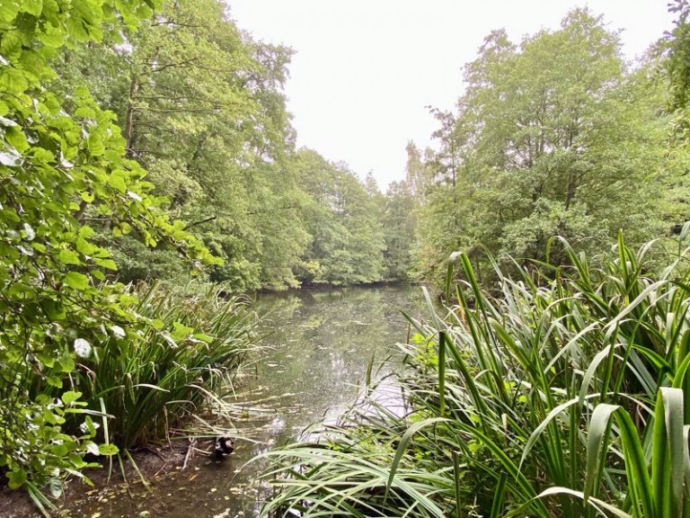 Great Chatwell, Newport