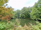 Great Chatwell, Newport