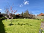 Audley Avenue, Newport