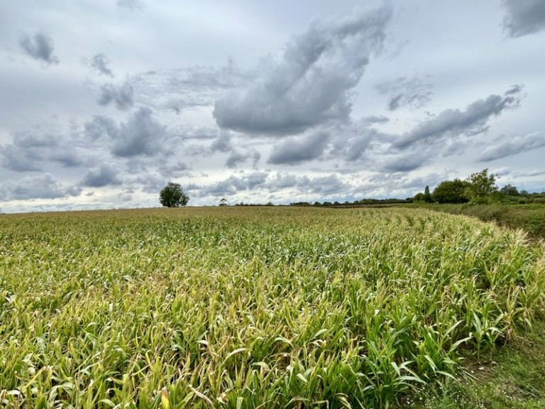Cherrington Road, Tibberton, Newport