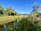 Fishers Lock, Newport