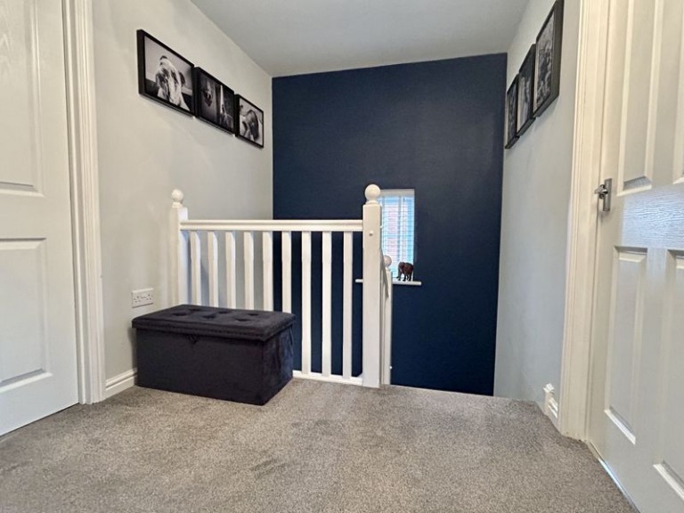 Bluebell Lane, Newport