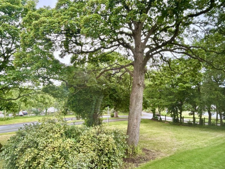 Woodhouse Lane, Priorslee, Telford