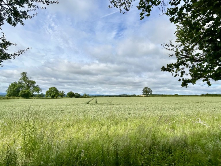 The Westfields, Cheswardine, Nr. Market Drayton