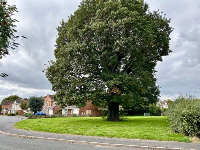 Deer Park Drive, Newport