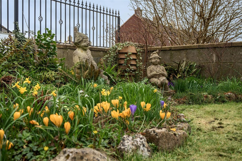 Maynard Terrace, Clutton, Bristol