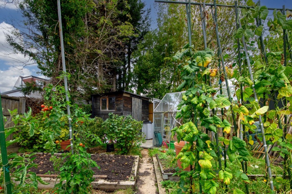 HENDALE AVENUE, HENDON, NW4