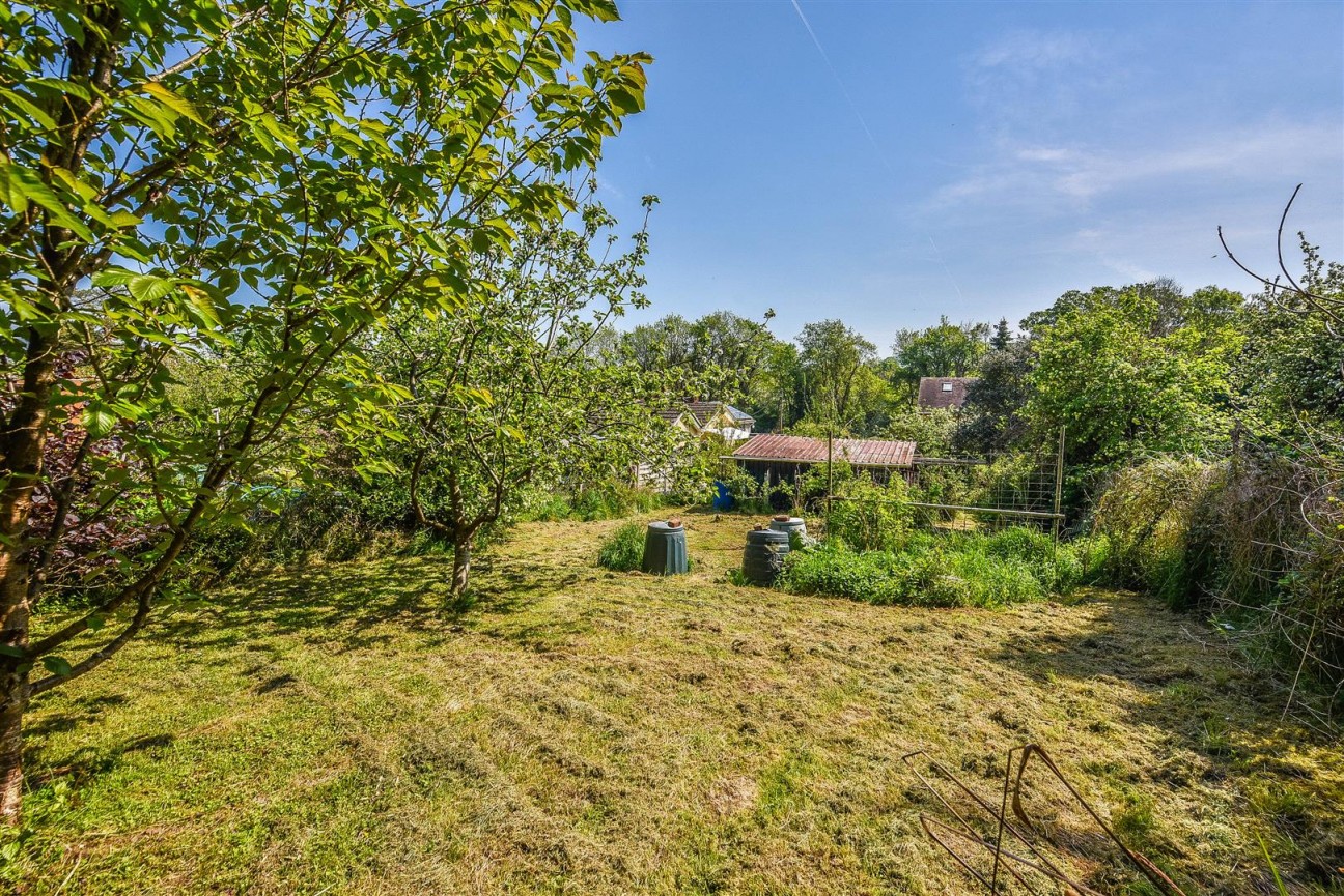 Everlands, Cam