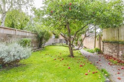 Salter Street, Berkeley