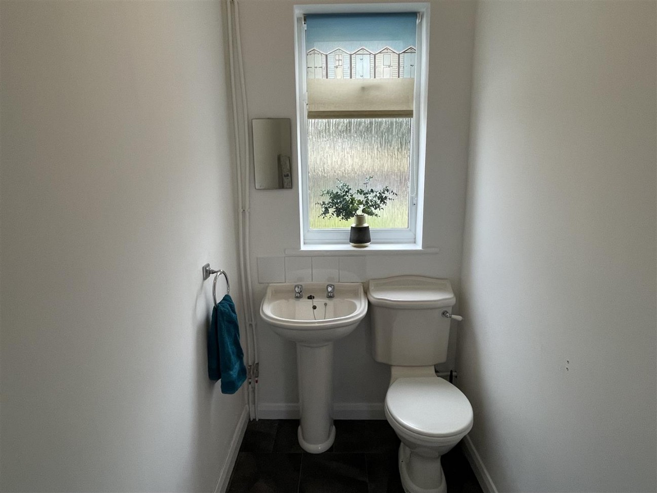 Olive Grove, Dursley