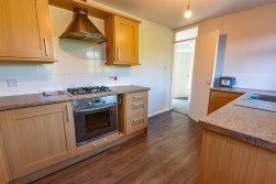 Baylands, Newtown, Berkeley