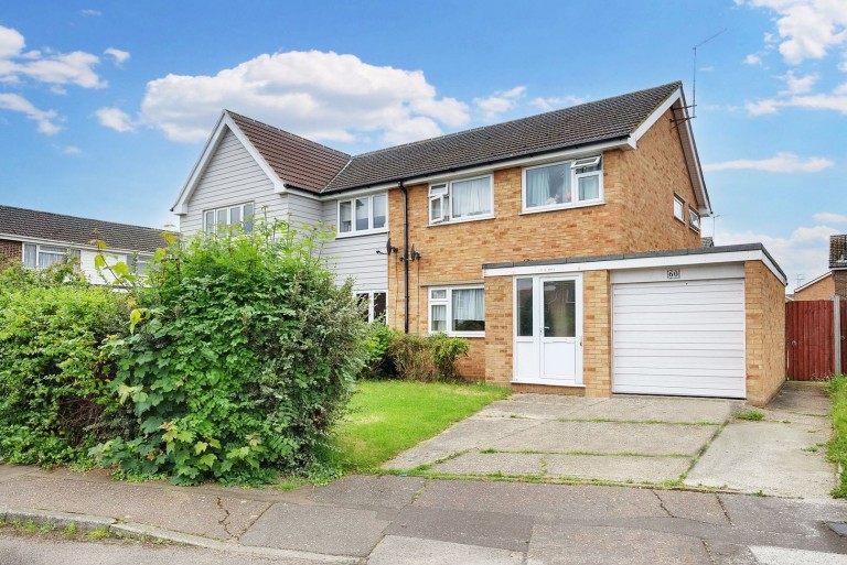 Chestnut Walk, Chelmsford, Essex