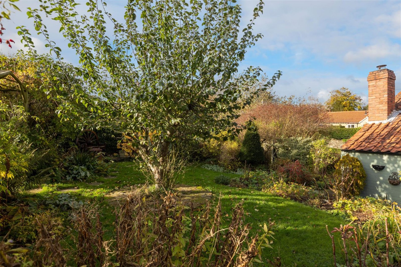 Terrington, York