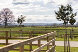 Ryton Rigg Road, Ryton, Malton