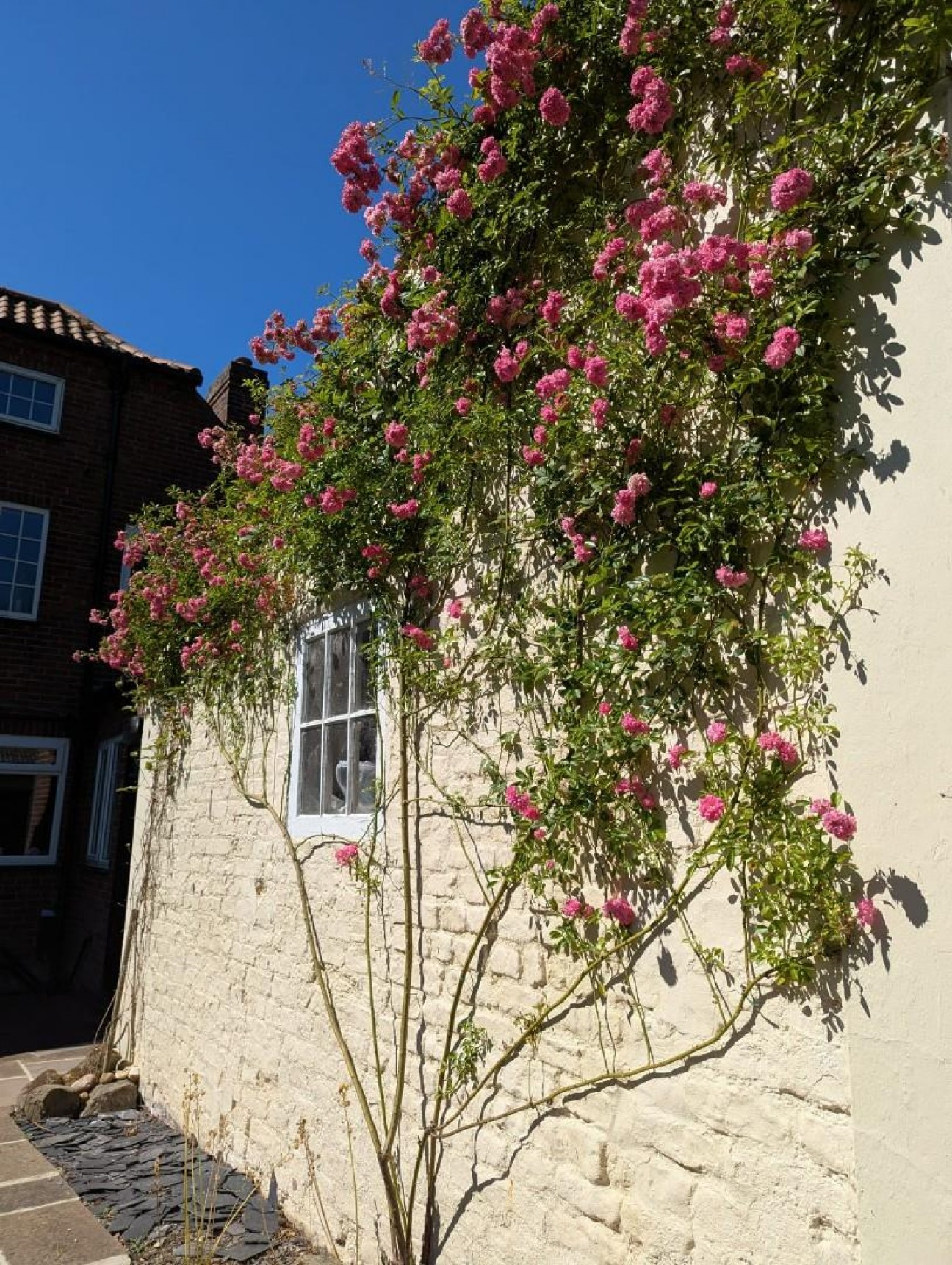 The Causey, Westgate, Bridlington