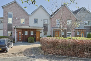 October Courtyard, Fall Pass, Gateshead, NE8