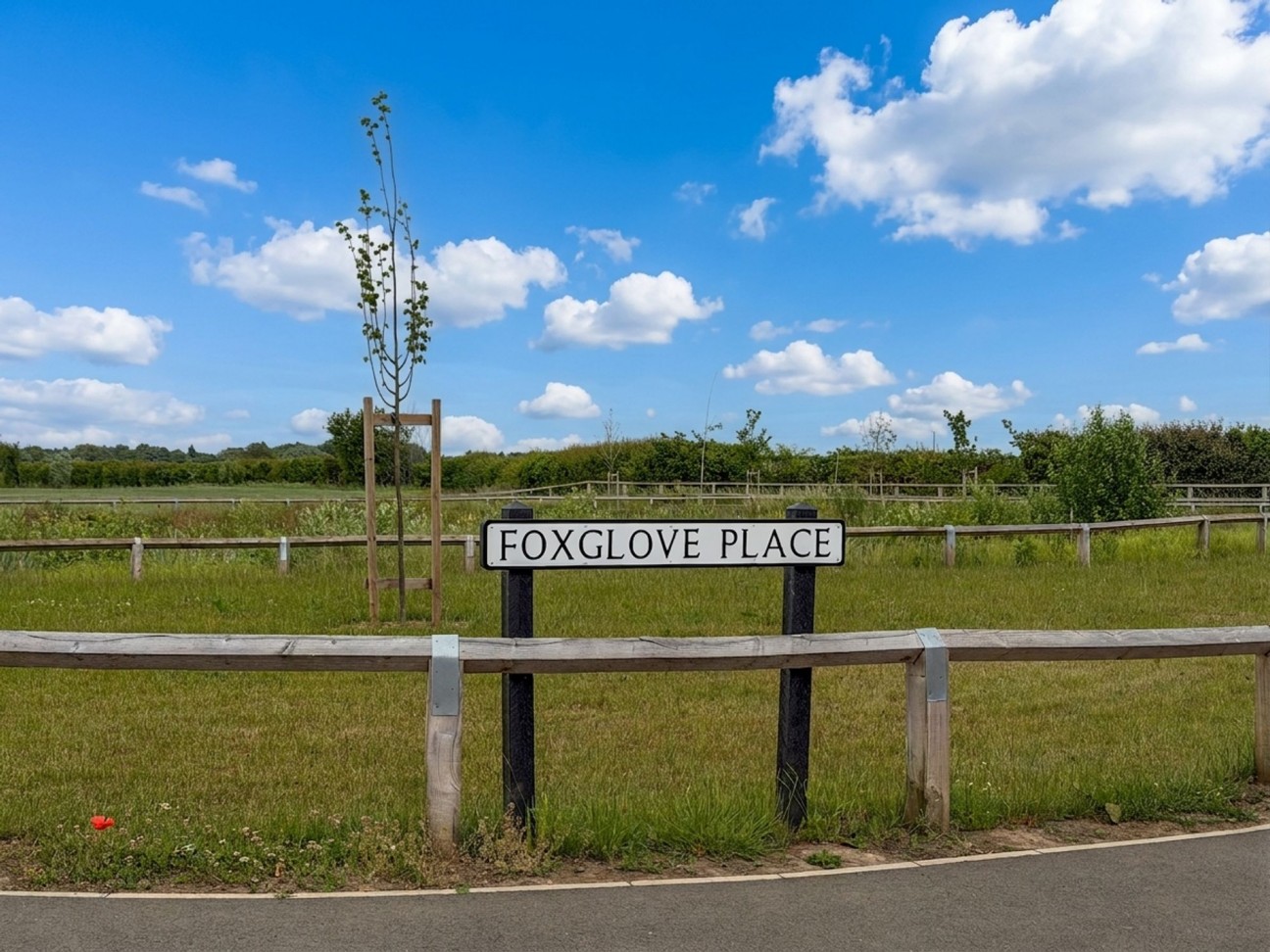 Foxglove Place, Carlton-In-Lindrick, S81