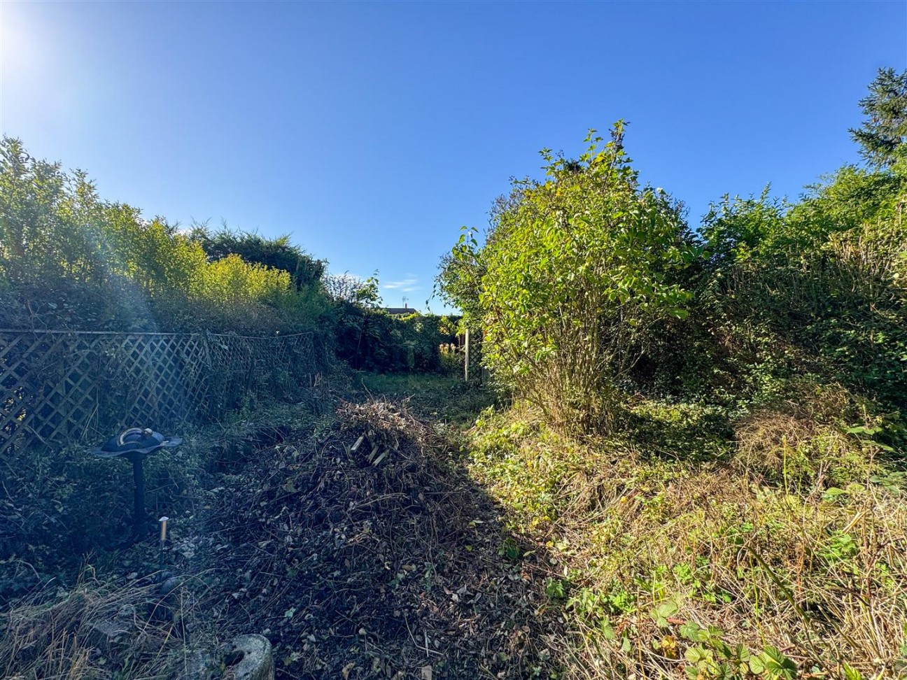 Carlton Avenue, Worksop