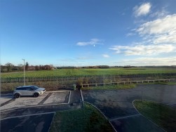 Bullfinch Court, Langold, S81