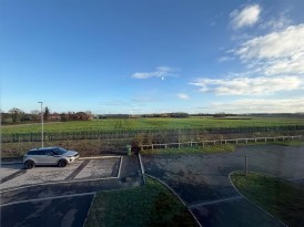 Bullfinch Court, Langold, S81