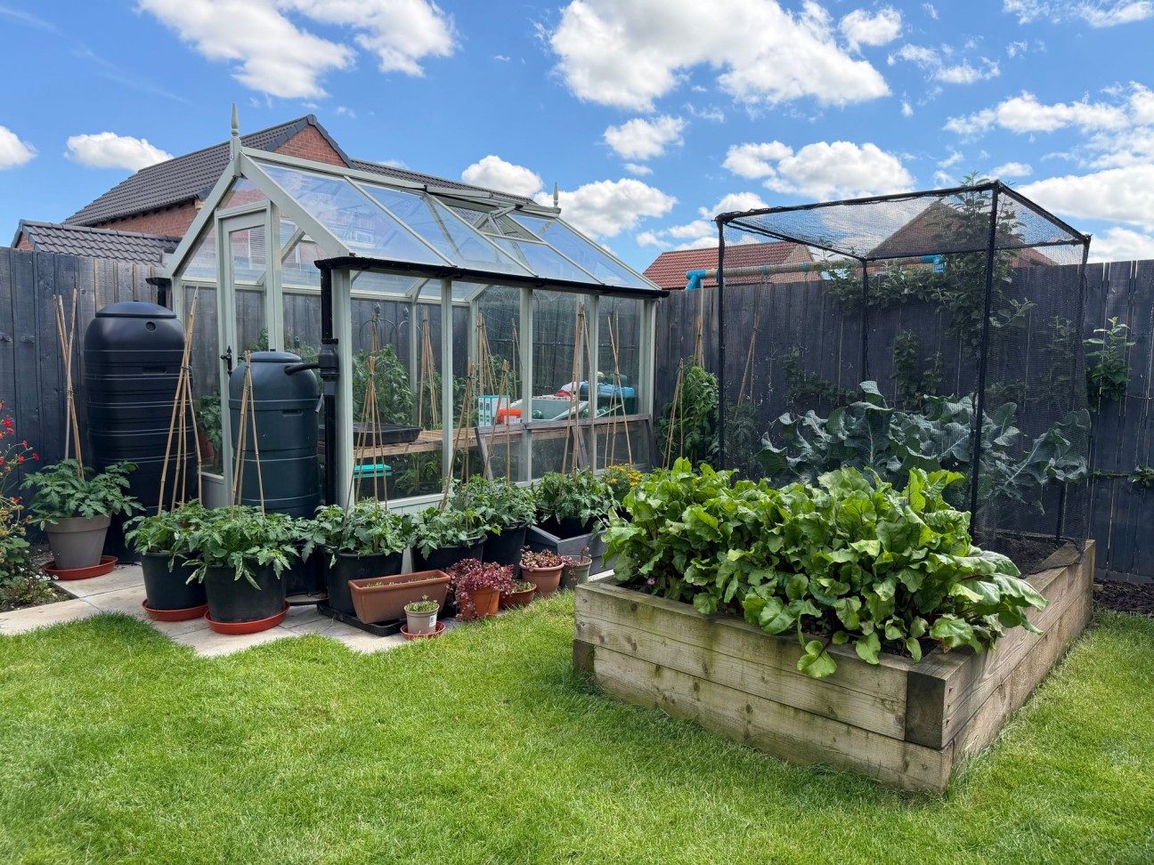 Grebe Way, Langold, S81