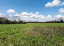 High Road, Carlton-In-Lindrick, S81