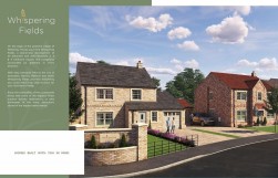 Breck Lane, Whispering Fields, DN10