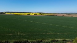 Kingsway, Hodthorpe, S80