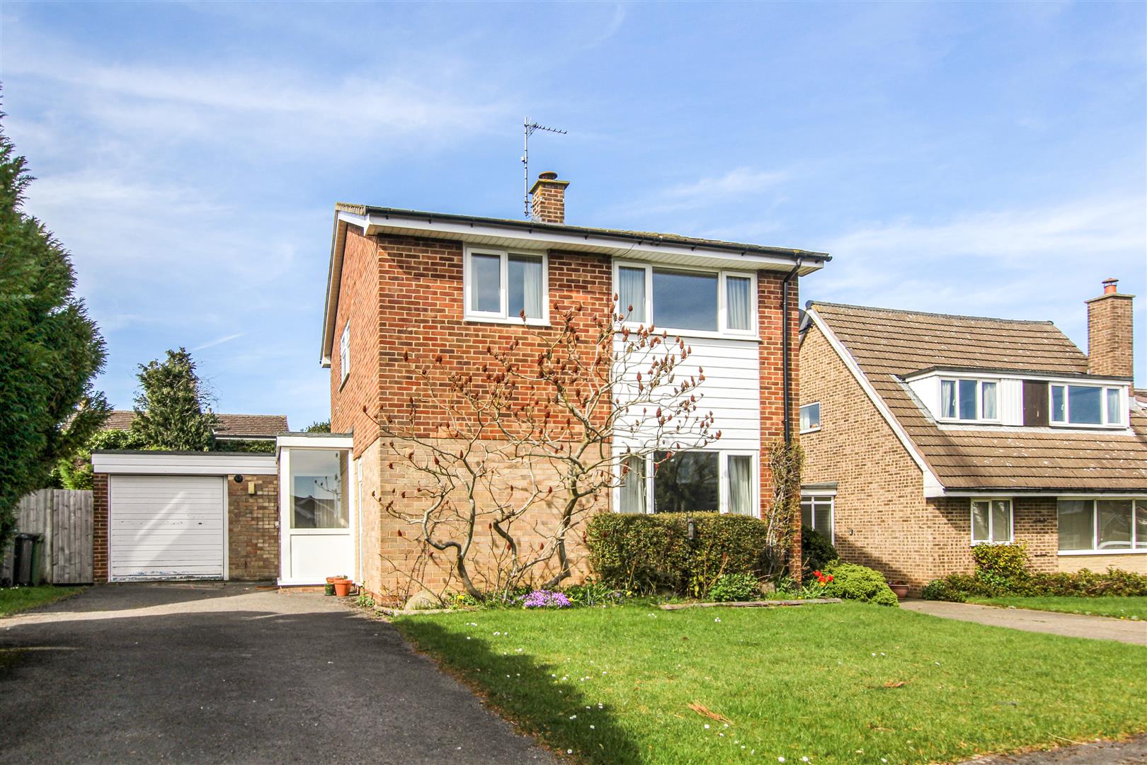 High Trace, Northallerton