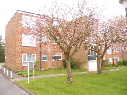photo for Bushey Heath, Herts