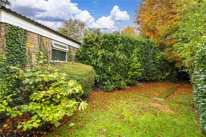 photo for Berkhamsted, Hertfordshire