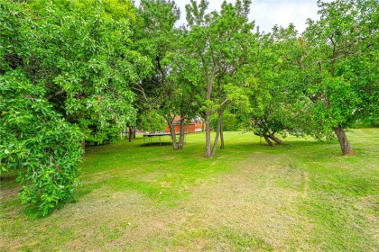 photo for Whipsnade, Central Bedfordshire