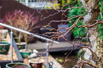 photo for Eaton Bray, Central Bedfordshire