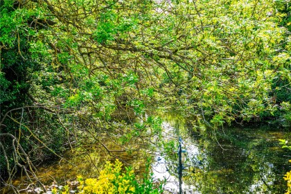 photo for High Street, Edlesborough