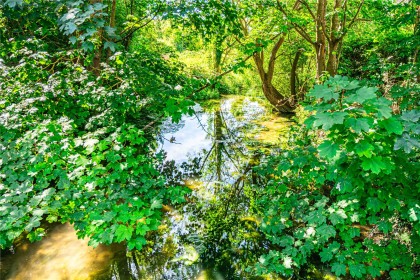 photo for Edlesborough, Buckinghamshire