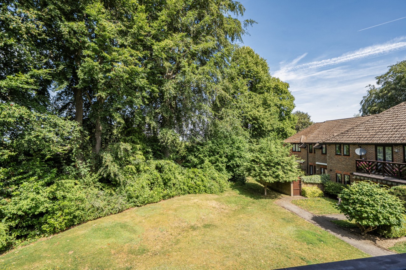 Beechwood Park, Leatherhead