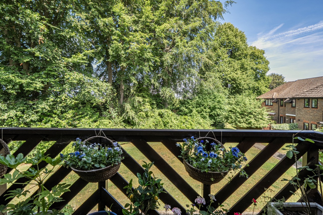 Beechwood Park, Leatherhead