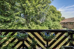 Beechwood Park, Leatherhead