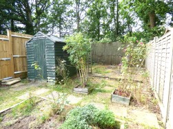 BEARE GREEN