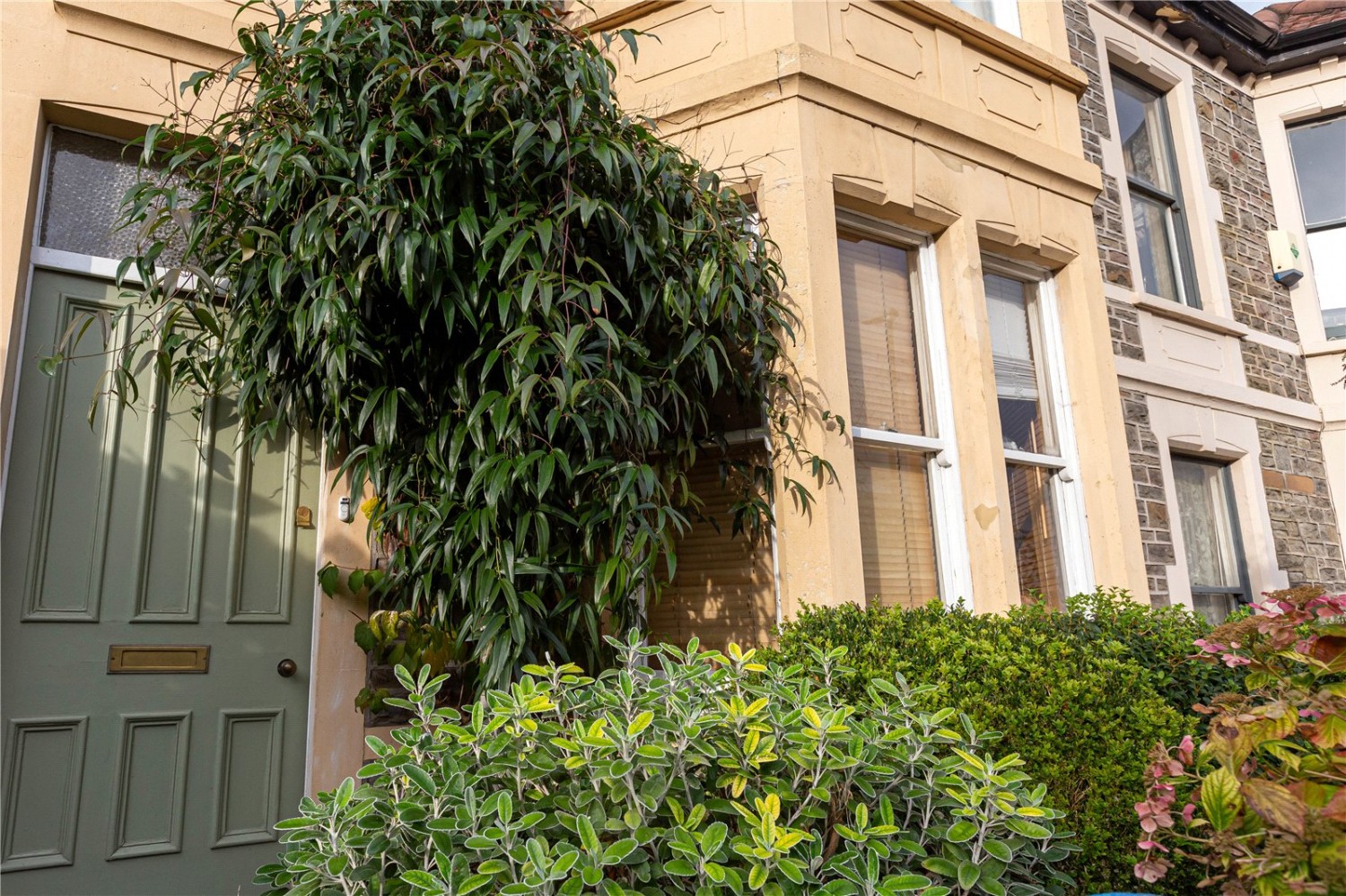 Montpelier, Bristol